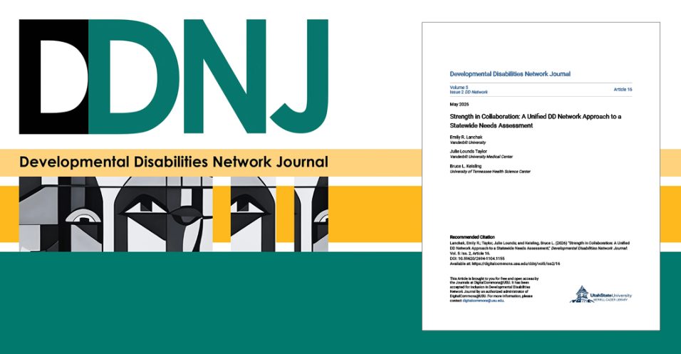 Cover of the Developmental Disabilities Network Journal featuring a published article.